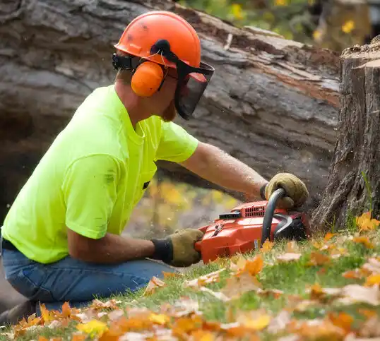 tree services Buckeystown